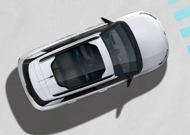 C4 Cactus üst açıdan gövde görünümü