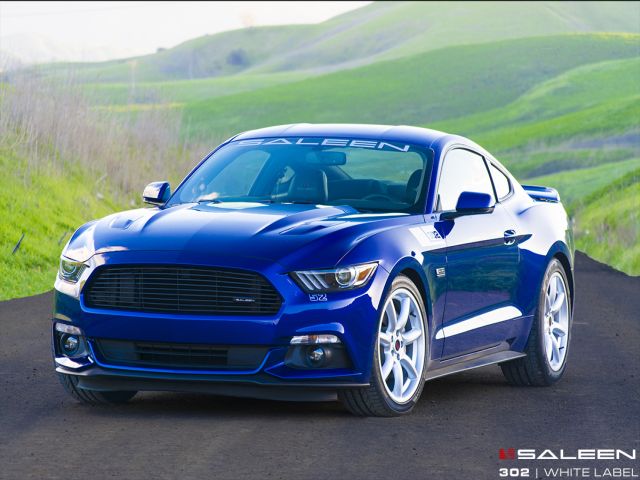 Saleen 302 White Label dış tasarım arşiv görseli
