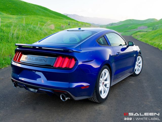 Saleen 302 White Label yan görünüm arşiv görseli