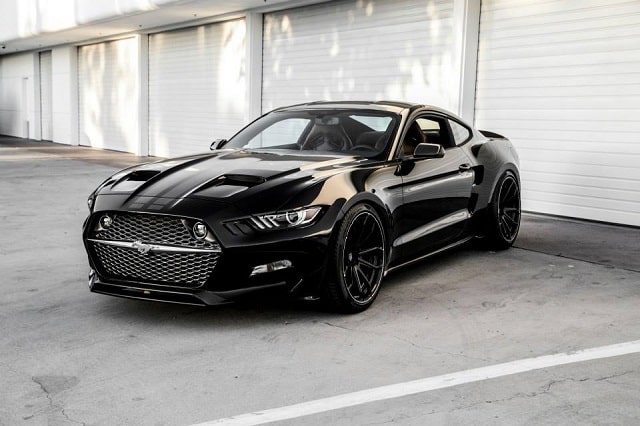 Rocket Mustang arşiv fotoğrafı 2
