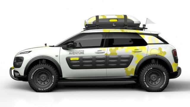 C4 Cactus Aventure yan profil görünümü