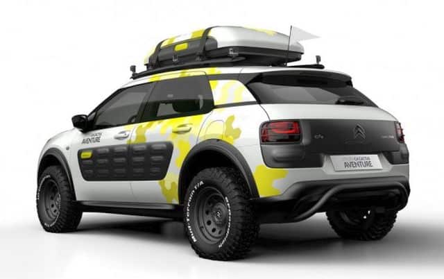 C4 Cactus Aventure arkadan görünüm